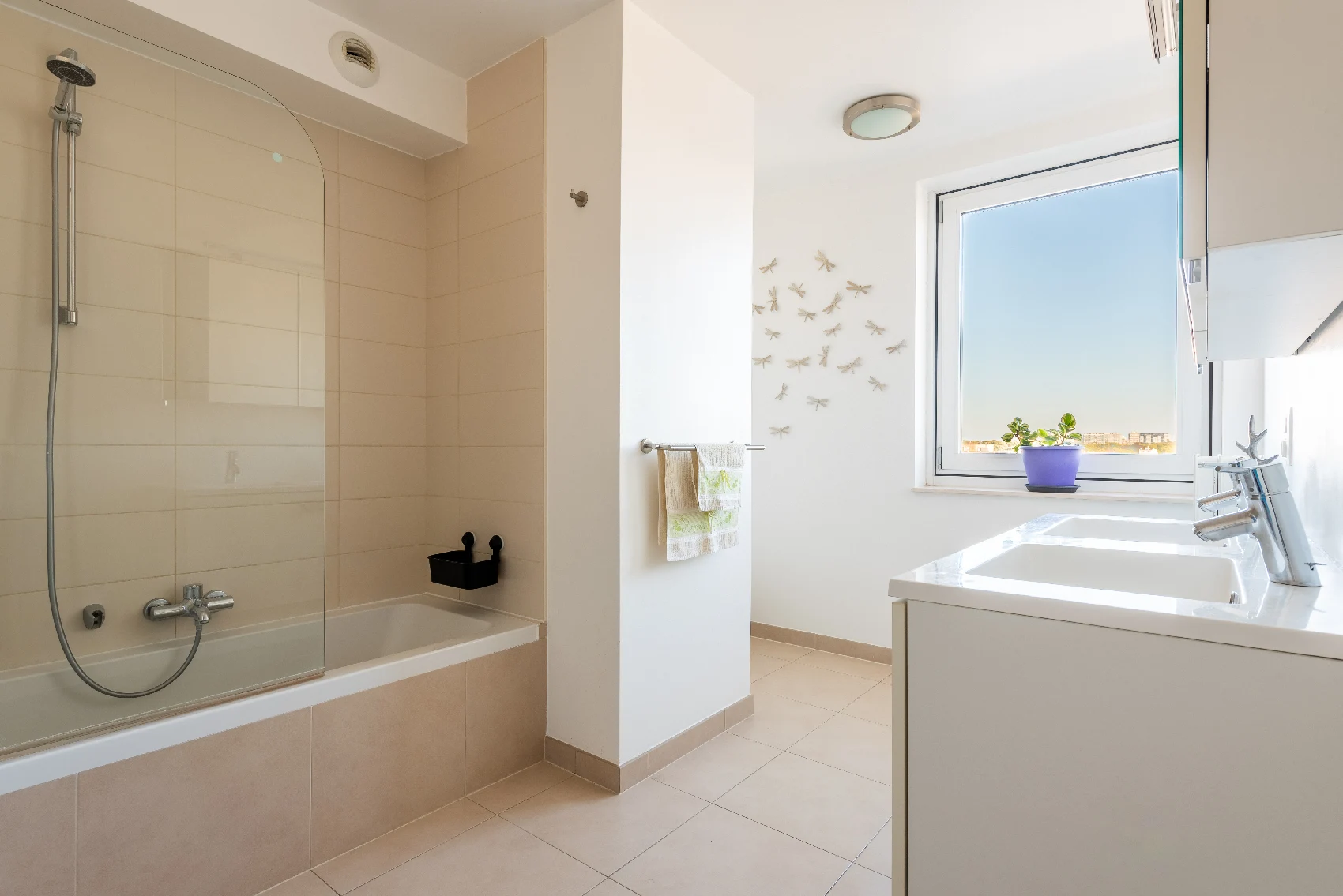 Photographie immobilière 8